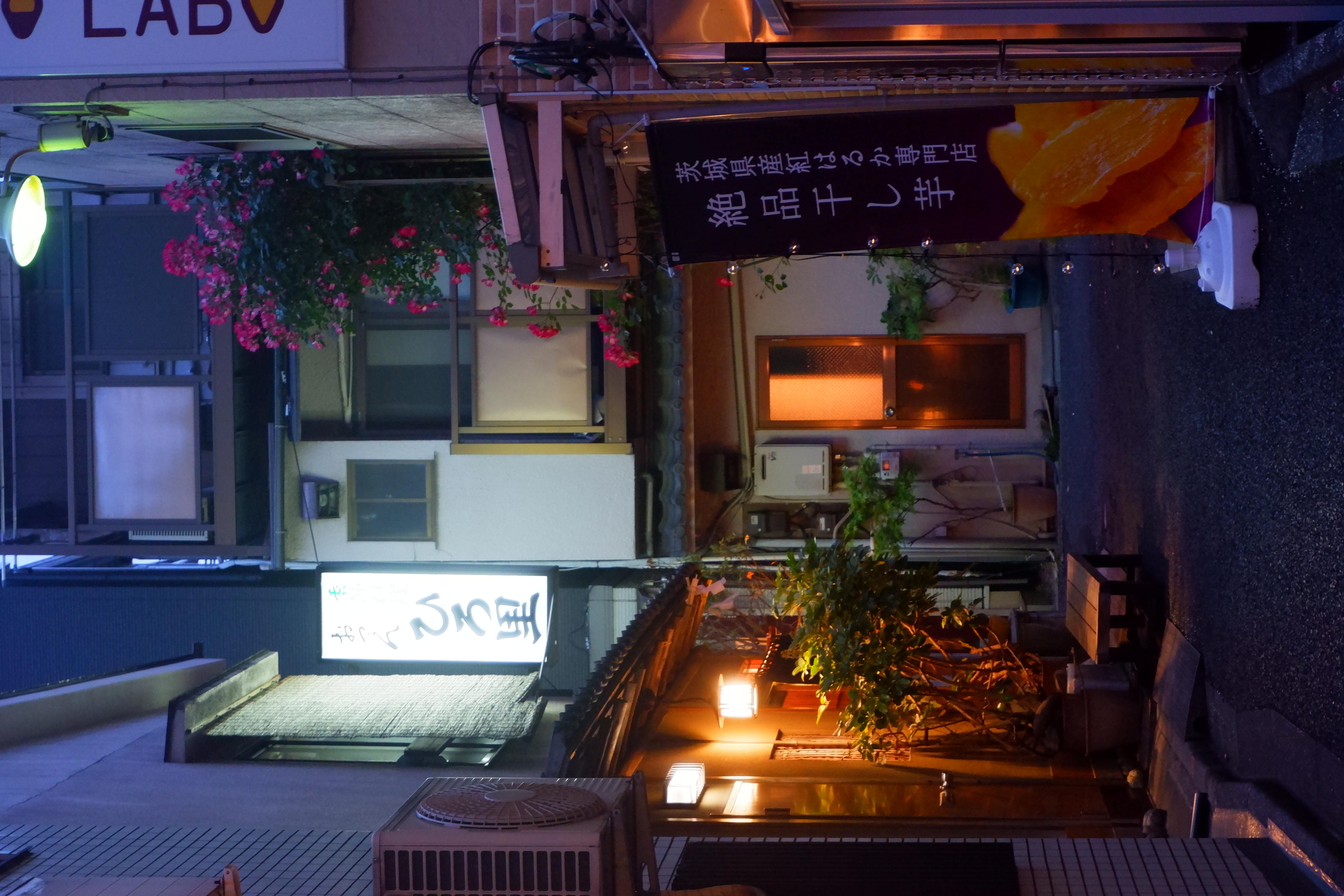 a small alleyway at dusk, a bright sign lights the picture with some pink flowers blooming off to the side